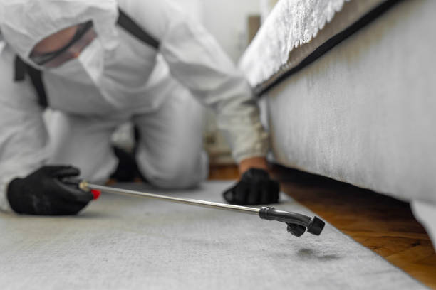 Professional Bed Bug Control technician working in Progress Village, FL